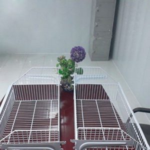 Giỏ mì siêu thị