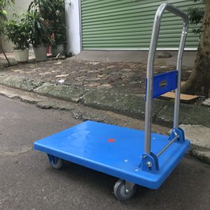 Xe đẩy loại nhỏ